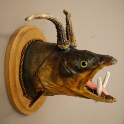 Fischwolpi Wolpertinger avec tête de chevreuil, truite empaillée, dents