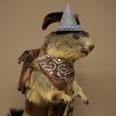 Wolpertinger Murmeltier Wanderer Präparat mit Hut...