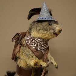 Wolpertinger: marmotta escursionista imbalsamata con cappello, zaino, sciarpa, bastone e borraccia