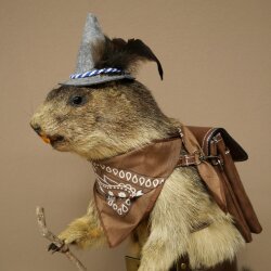 Wolpertinger: marmotta escursionista imbalsamata con cappello, zaino, sciarpa, bastone e borraccia