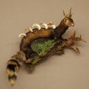 Iltis Wolpertinger Wolpi Präparat taxidermy...