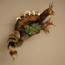 Turón Wolpertinger Wolpi, pieza taxidérmica, cuernos de corzo, colmillos de jabalí, altura 45 cm, 86.11.4