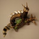 Turón Wolpertinger Wolpi, pieza taxidérmica, cuernos de corzo, colmillos de jabalí, altura 45 cm, 86.11.4