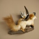 Wolpertinger: creatura mitologica, martora con tubo a forma di camoscio, ali d’anatra, acconciatura punk, Wolpi, esemplare imbalsamato, altezza 40 cm