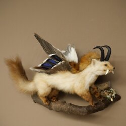 Wolpertinger: creatura mitologica, martora con tubo a forma di camoscio, ali d’anatra, acconciatura punk, Wolpi, esemplare imbalsamato, altezza 40 cm