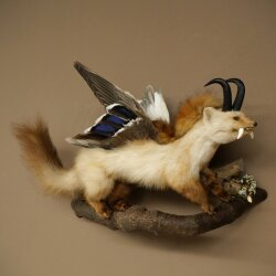 Wolpertinger: creatura mitologica, martora con tubo a forma di camoscio, ali d’anatra, acconciatura punk, Wolpi, esemplare imbalsamato, altezza 40 cm