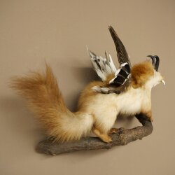 Wolpertinger: creatura mitologica, martora con tubo a forma di camoscio, ali d’anatra, acconciatura punk, Wolpi, esemplare imbalsamato, altezza 40 cm