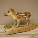 Préparation complète de marcassin, hauteur 31 cm, debout, cochon, sanglier, préparation décorative 34.2.44
