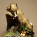 Dachs Wolpertinger Wolpi Präparat mit Fuchsschwanz Punkfrisur Zähnen Damhirsch