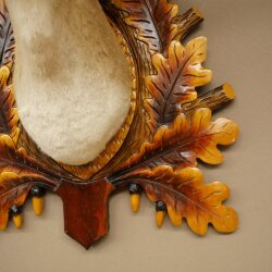 Daino (Dama dama) – Preparato con testa e spalle – Altezza 98 cm – Testa di daino 85.2.44