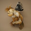Wolpertinger Fabelwesen Marder mit Flügel Rehgeweih Bart Wolpi Präparat Höhe 52 cm