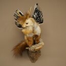 Wolpertinger Fabelwesen Marder mit Flügel Rehgeweih Bart Wolpi Präparat Höhe 52 cm