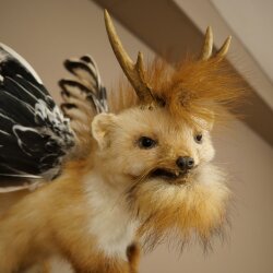Wolpertinger Fabelwesen Marder mit Flügel Rehgeweih Bart Wolpi Präparat Höhe 52 cm
