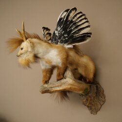Wolpertinger Fabelwesen Marder mit Flügel Rehgeweih Bart Wolpi Präparat Höhe 52 cm