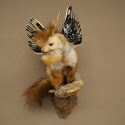 Wolpertinger Fabelwesen Marder mit Flügel Rehgeweih Bart Wolpi Präparat Höhe 52 cm
