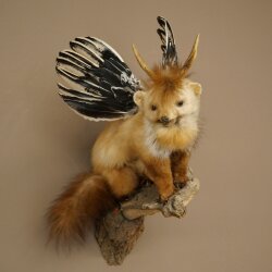 Wolpertinger Fabelwesen Marder mit Flügel Rehgeweih Bart Wolpi Präparat Höhe 52 cm
