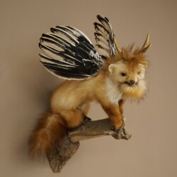 Wolpertinger Fabelwesen Marder mit Flügel Rehgeweih Bart Wolpi Präparat Höhe 52 cm