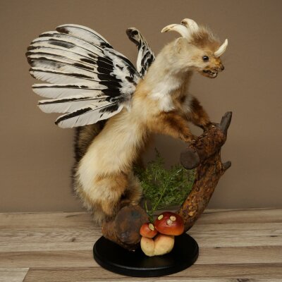 Wolpertinger, criatura mítica: martilla con alas y cuernos. Modelo disecado de Wolpi. Altura: 49 cm
