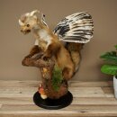 Wolpertinger Fabelwesen Marder mit Flügel...