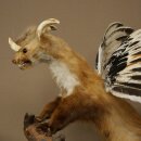 Wolpertinger, criatura mítica: martilla con alas y cuernos. Modelo disecado de Wolpi. Altura: 49 cm