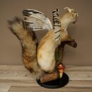 Wolpertinger, criatura mítica: martilla con alas y cuernos. Modelo disecado de Wolpi. Altura: 49 cm
