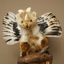 Wolpertinger, criatura mítica: martilla con alas y cuernos. Modelo disecado de Wolpi. Altura: 49 cm