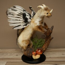 Wolpertinger, criatura mítica: martilla con alas y cuernos. Modelo disecado de Wolpi. Altura: 49 cm