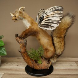 Wolpertinger, criatura mítica: martilla con alas y cuernos. Modelo disecado de Wolpi. Altura: 49 cm