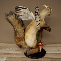 Wolpertinger, criatura mítica: martilla con alas y cuernos. Modelo disecado de Wolpi. Altura: 49 cm