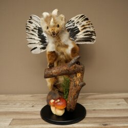 Wolpertinger, criatura mítica: martilla con alas y cuernos. Modelo disecado de Wolpi. Altura: 49 cm