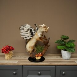 Wolpertinger, criatura mítica: martilla con alas y cuernos. Modelo disecado de Wolpi. Altura: 49 cm