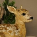 Rehkitz Präparat liegend auf Deko Platte Reh Kitz Höhe 34 cm Bambi Tierpräparat 89.11.81
