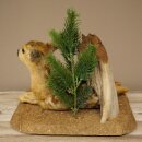 Rehkitz Präparat liegend auf Deko Platte Reh Kitz Höhe 34 cm Bambi Tierpräparat 89.11.81