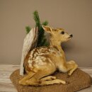 Rehkitz Präparat liegend auf Deko Platte Reh Kitz Höhe 34 cm Bambi Tierpräparat 89.11.81