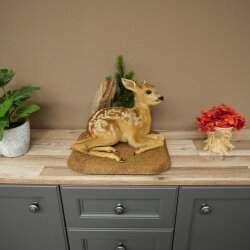 Rehkitz Präparat liegend auf Deko Platte Reh Kitz Höhe 34 cm Bambi Tierpräparat 89.11.81