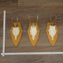 Corna di capriolo, 3 pezzi, set di corna di capriolo...