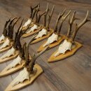 10 Roe Deer Antlers—Older Male Roe Deer Antler Set...