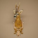 Roebuck Head Mount, New, Height 81 cm, Antlers, Roebuck Head Mount on a Carved Trophy Shield 85.11.118