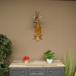 Roebuck Head Mount, New, Height 81 cm, Antlers, Roebuck Head Mount on a Carved Trophy Shield 85.11.118
