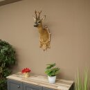 Roebuck Head Mount, New, Height 78 cm, Antlers, Roebuck Head Mount on a Carved Trophy Shield 85.11.119