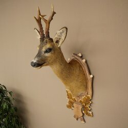 Roebuck Head Mount, New, Height 78 cm, Antlers, Roebuck Head Mount on a Carved Trophy Shield 85.11.119