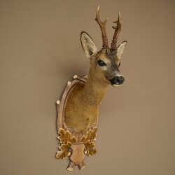 Roebuck Head Mount, New, Height 78 cm, Antlers, Roebuck Head Mount on a Carved Trophy Shield 85.11.119