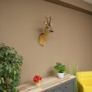 Roebuck Head Mount, New, Height 60 cm, Antlers, Roebuck Head Mount 85.11.120