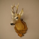 Testa di capriolo imbalsamata, altezza 57 cm, corna. Testa di capriolo imbalsamata su base intagliata per trofei 85.11.122