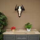 Gnu kleines Weißschwanzgnu Schädeltrophäe Afrika Antilope Schädel Trophäe Schild 88.9.52