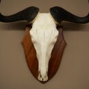 Gnu Streifengnu Schädeltrophäe SP 45 cm Afrika Schädel TrophäeTrophäenschild 88.9.54
