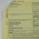 Cuco de bosque, búho, búhos. Espécimen disecado con autorización para la venta 90.21.10