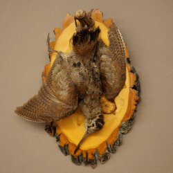 Bécasse des bois, nature morte, oiseau empaillé, spécimen empaillé, avec autorisation de commercialisation