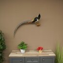 Pavo real disecado, altura 60 cm, taxidermia,...