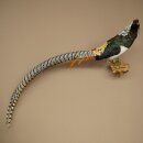 Diamond Pheasant Taxidermy Specimen, Height 60 cm, Taxidermy Animal Specimen 90.272.9